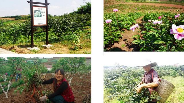 內(nèi)江梓橦宮：從僅剩一位看門(mén)大爺?shù)綊炫菩氯寰x層！(圖5)