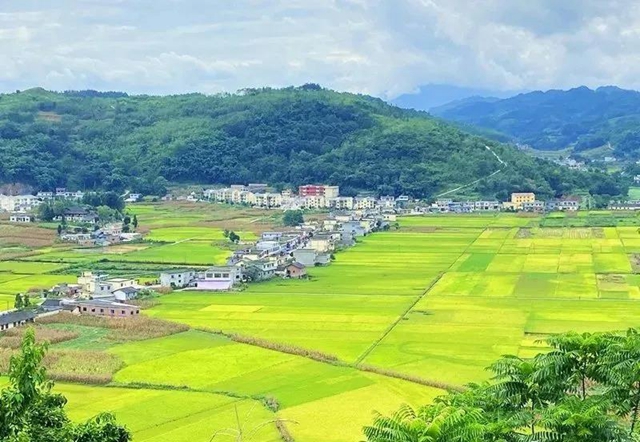 湖光山色、荷韻悠悠……瀘州這些如畫(huà)美景，看一眼就心動(dòng)！(圖9)
