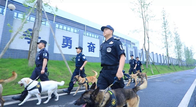 訓(xùn)犬建功！瀘州馬中平被評為“最美警務(wù)輔助人員”(圖7)