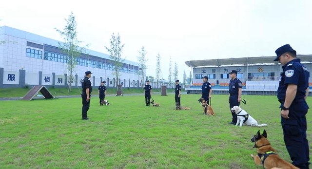 訓(xùn)犬建功！瀘州馬中平被評為“最美警務(wù)輔助人員”(圖9)