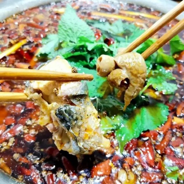 瀘縣龍眼熟了，采摘路線已為你安排好(圖7)