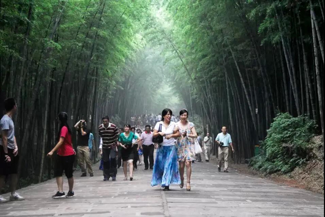 宜賓將發(fā)放300萬元文旅消費券！這些美景美食不容錯過……(圖3)