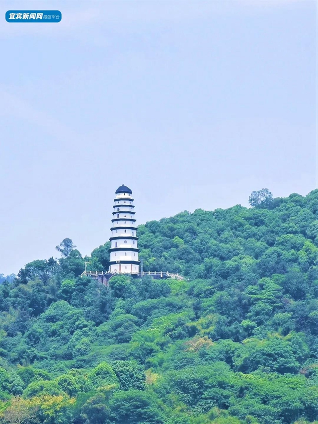宜賓將發(fā)放300萬元文旅消費券！這些美景美食不容錯過……(圖16)