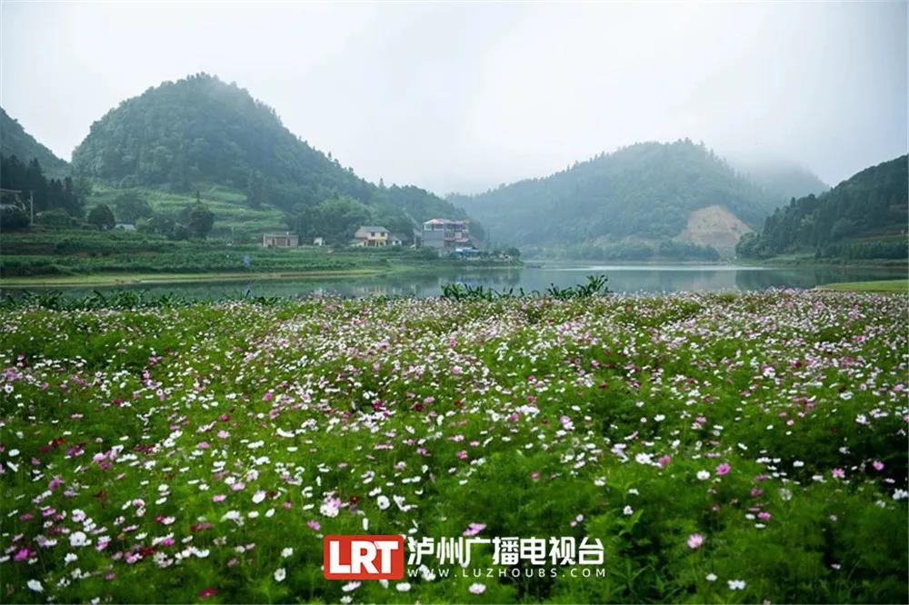 暢游酒城丨不想感受“人從眾“？趕緊收藏這份瀘州近郊游推薦！(圖3)