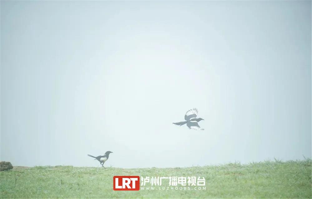 暢游酒城丨不想感受“人從眾“？趕緊收藏這份瀘州近郊游推薦！(圖5)