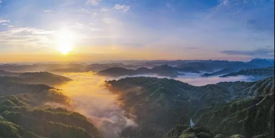 暢游酒城丨不想感受“人從眾“？趕緊收藏這份瀘州近郊游推薦！(圖19)