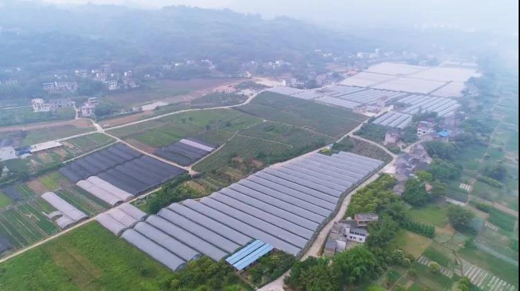 國慶長假去哪玩？納溪這些地方很不錯哦(圖21)