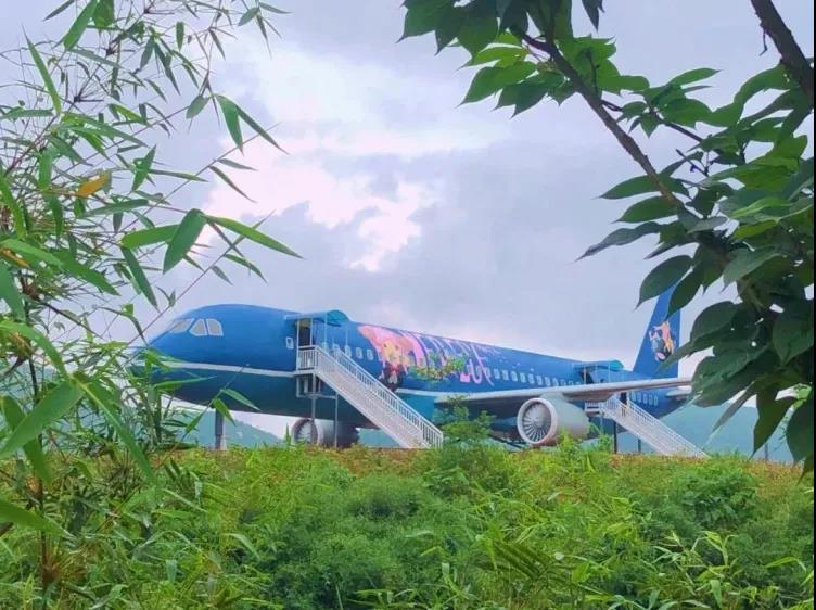 國慶長假去哪玩？納溪這些地方很不錯哦(圖5)