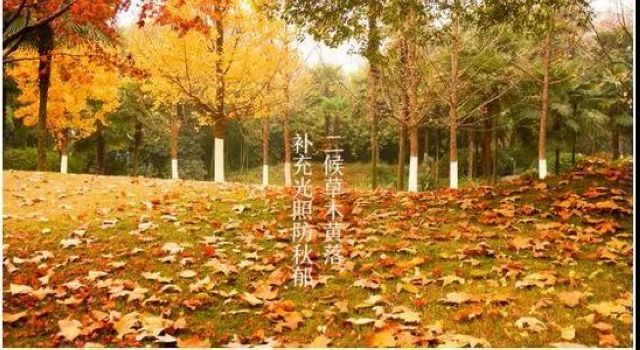 【霜降】今天起，不要吃燒烤了？(圖4)