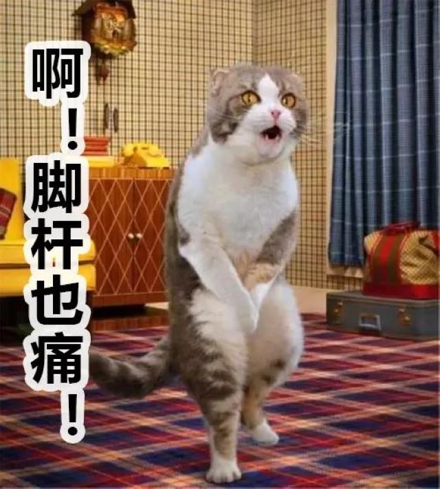 瀘州市人醫(yī)：一頓操作猛如虎，腰椎間盤不再苦