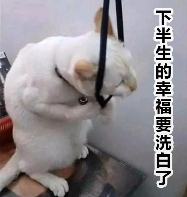 瀘州市人醫(yī)：一頓操作猛如虎，腰椎間盤不再苦(圖5)