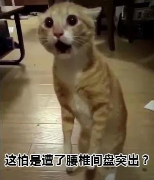 瀘州市人醫(yī)：一頓操作猛如虎，腰椎間盤不再苦(圖4)