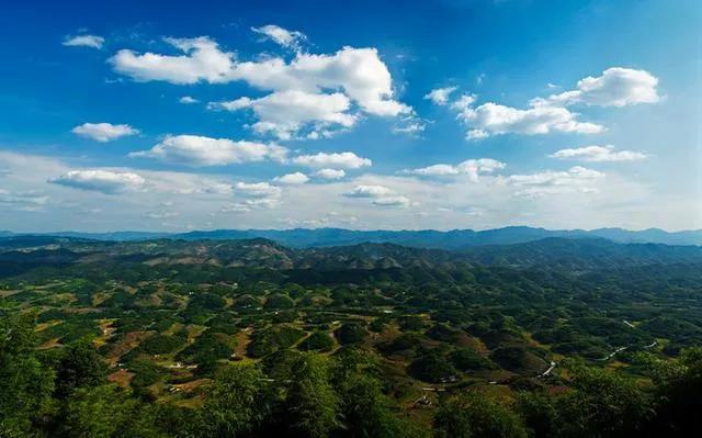 觀竹景、賞竹文、品竹食……快來(lái)領(lǐng)略宜賓最美竹游風(fēng)情！(圖2)