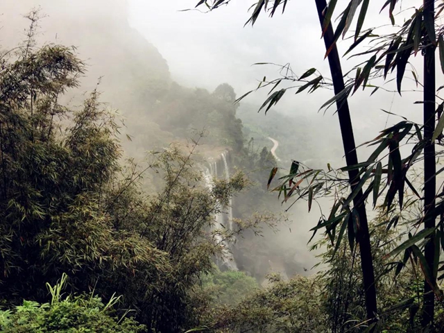 觀竹景、賞竹文、品竹食……快來(lái)領(lǐng)略宜賓最美竹游風(fēng)情！(圖3)