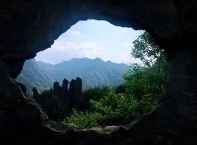 觀竹景、賞竹文、品竹食……快來(lái)領(lǐng)略宜賓最美竹游風(fēng)情！(圖5)