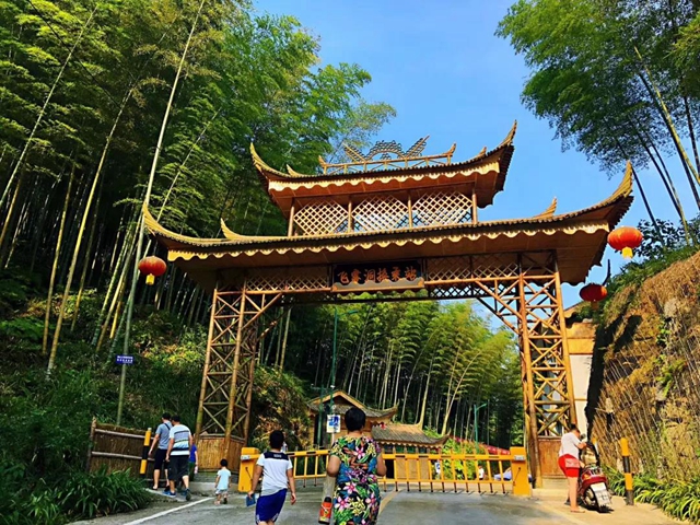 觀竹景、賞竹文、品竹食……快來(lái)領(lǐng)略宜賓最美竹游風(fēng)情！(圖8)