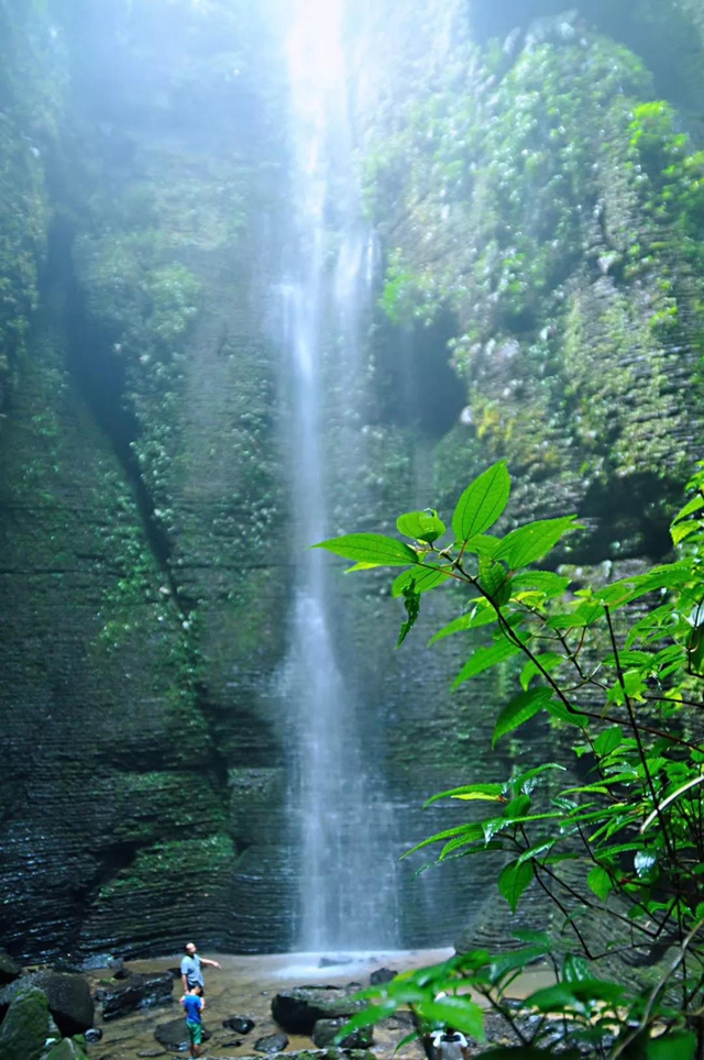 觀竹景、賞竹文、品竹食……快來(lái)領(lǐng)略宜賓最美竹游風(fēng)情！(圖9)