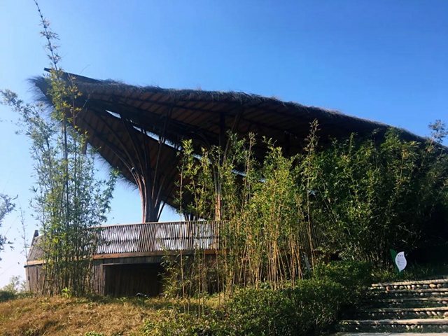 觀竹景、賞竹文、品竹食……快來(lái)領(lǐng)略宜賓最美竹游風(fēng)情！(圖15)