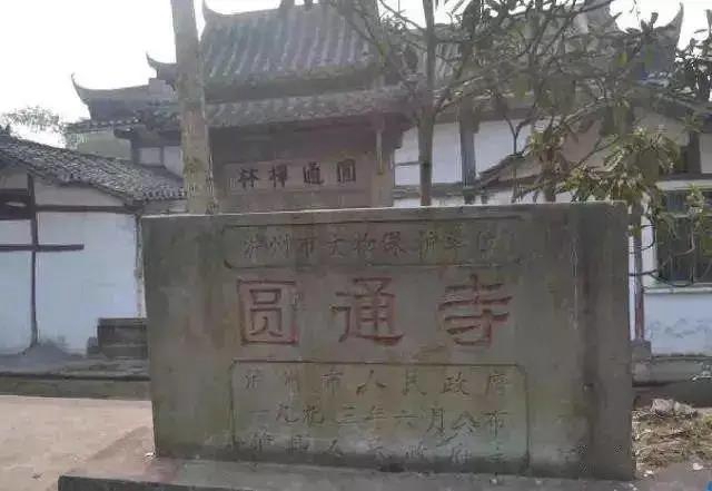 【我們這五年】瀘州這些文化遺產(chǎn)，了解一下！(圖13)