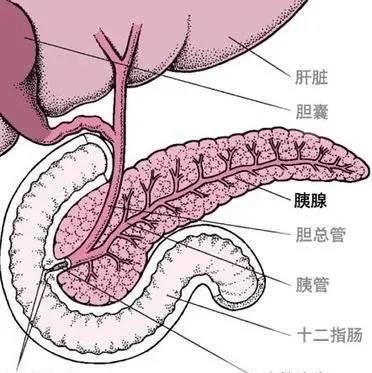 【警惕】79歲大爺喝酒吃肉！一查是癌(圖3)