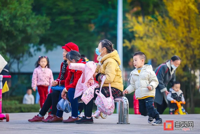 錯過又等一年！現(xiàn)在的自貢美不勝收，還不去打卡！(圖21)