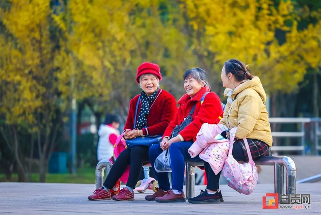 錯過又等一年！現(xiàn)在的自貢美不勝收，還不去打卡！(圖24)