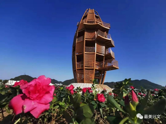 宜賓又新增一網(wǎng)紅打卡地！觀光塔、拖船公園、荷塘、美食街……(圖8)