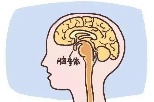【圍觀】女兒不來月經(jīng)，還越長越像男的？(圖2)