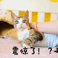 【視頻】關(guān)于腫瘤您了解多少？這位醫(yī)生告訴您