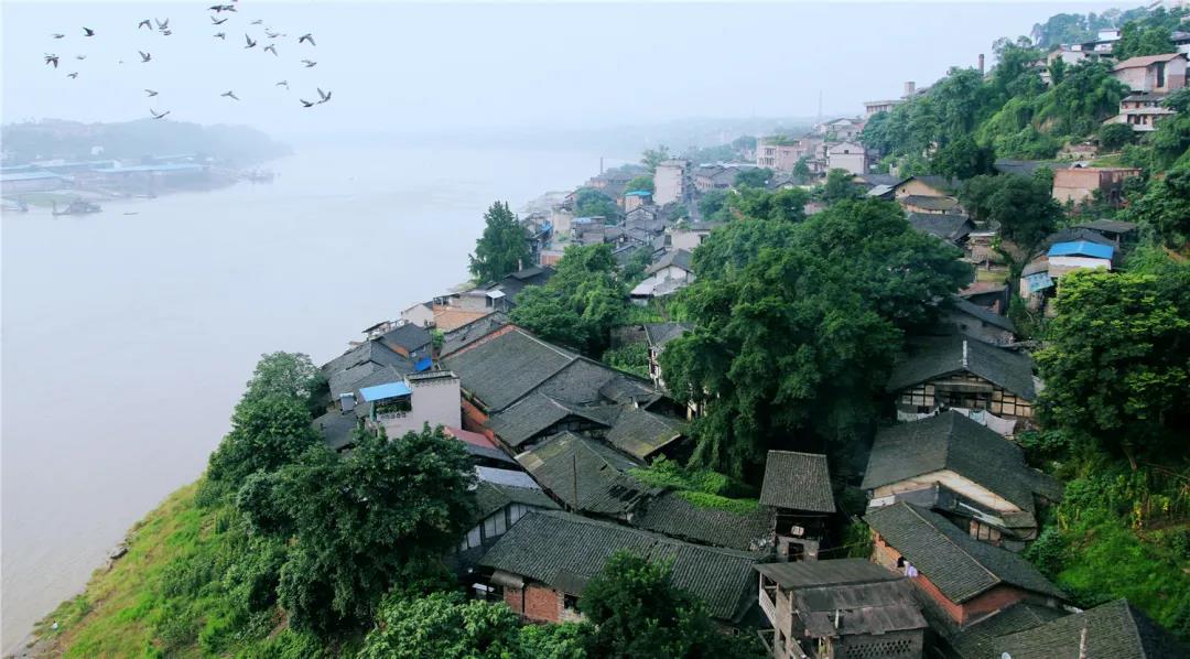 瀘永江3條精品旅游線路出爐，一同暢游川渝(圖10)