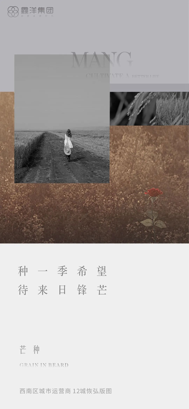 視覺｜鑫洋集團(tuán)二十四節(jié)氣海報(bào)鑒賞(圖6)
