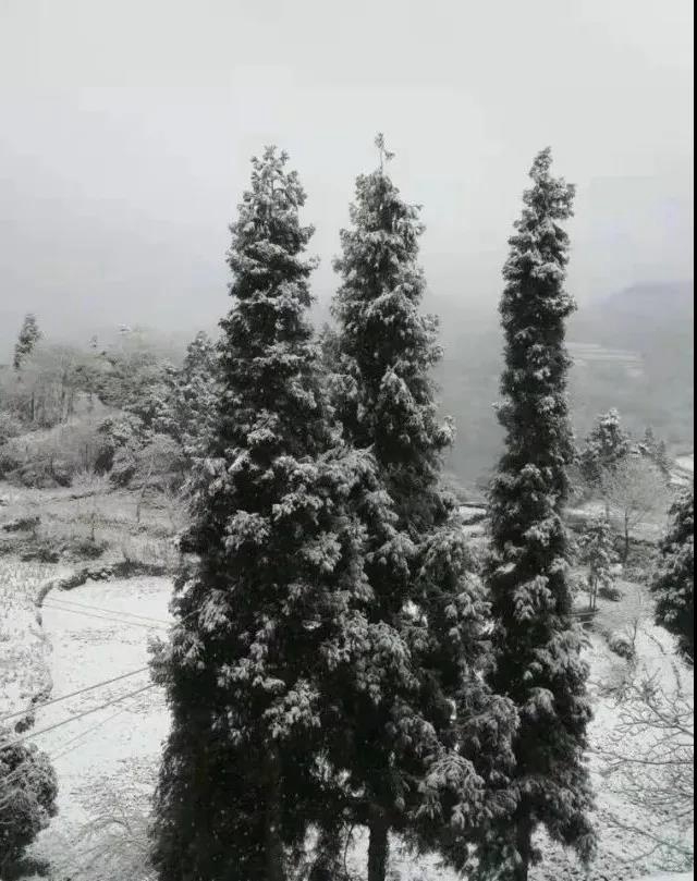 【圍觀】瀘州下雪了，你扛得住嗎？(圖2)