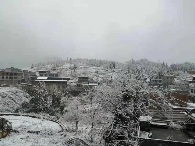 【圍觀】瀘州下雪了，你扛得住嗎？(圖5)